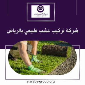 شركة تركيب عشب طبيعي بالرياض