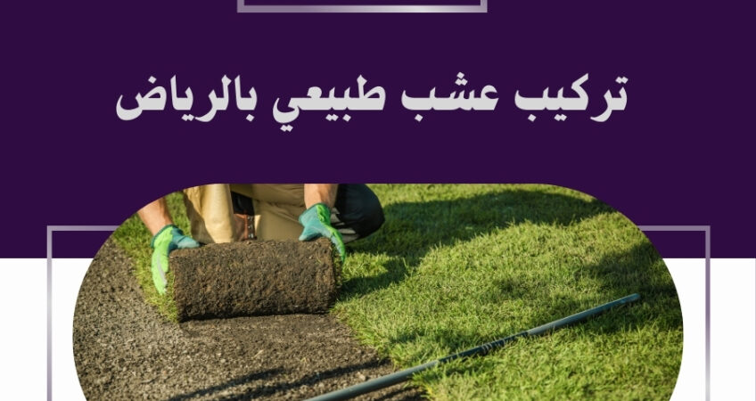 تركيب عشب طبيعي بالرياض